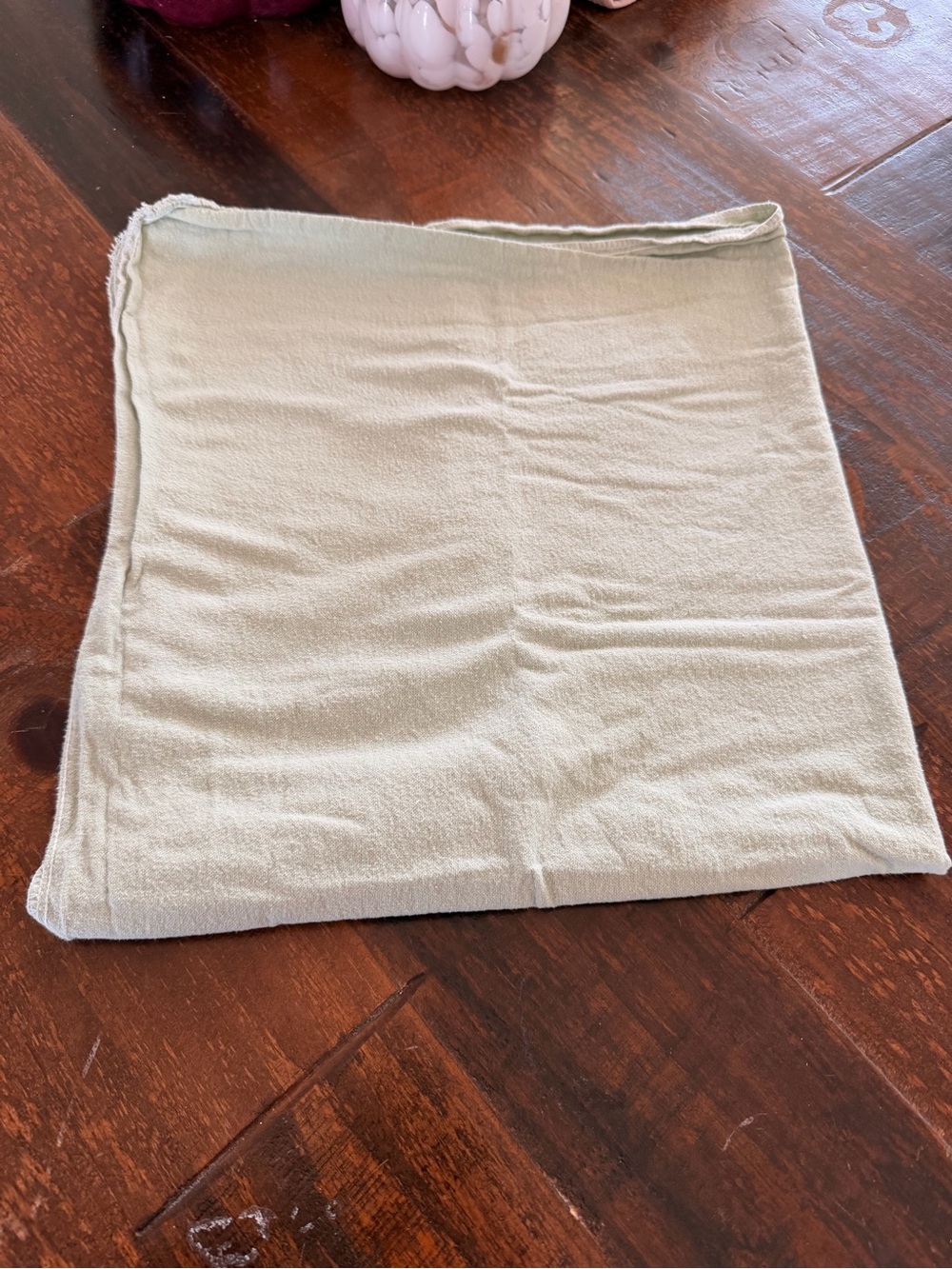 👚CLOSET CLEANOUT SALE👖 Soft Sage Green Swaddle Cloth
